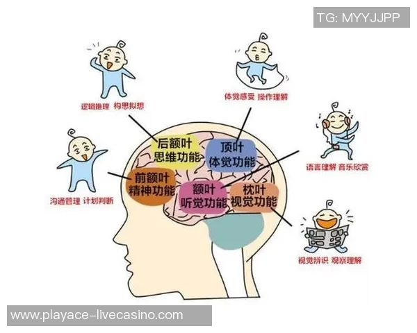 探索足球的拼音魅力与文化内涵在语言学习中的重要性与应用 探索足球的拼音魅力与文化内涵在语言学习中的重要性与应用