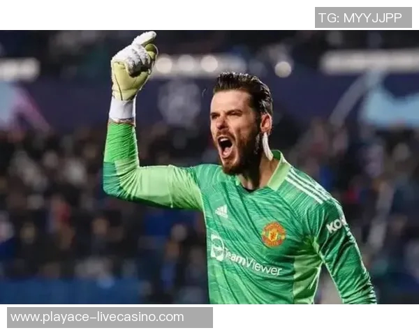 著名足球解说员的精彩瞬间与背后故事揭秘